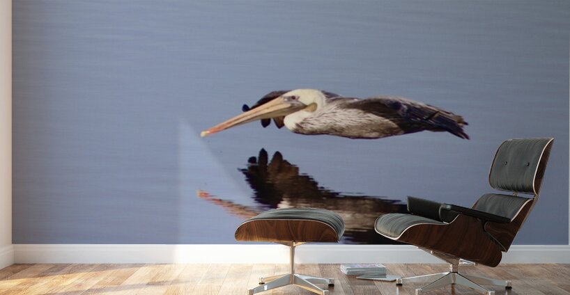 Reflection in Flight Wall Murals