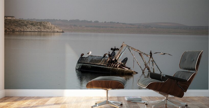 Silent Wreckage on Still Waters Wall Murals