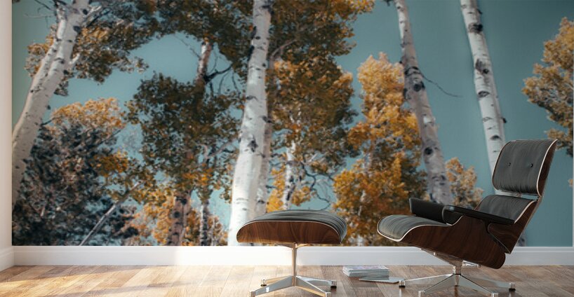 Blue skies and Aspen leaves Wall Murals