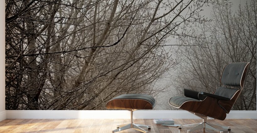 Winter’s Breath Wall Murals