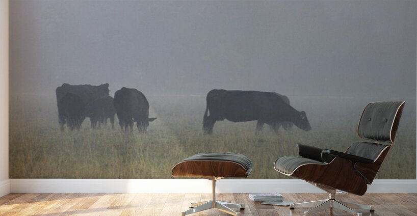 Misty Moood Wall Murals