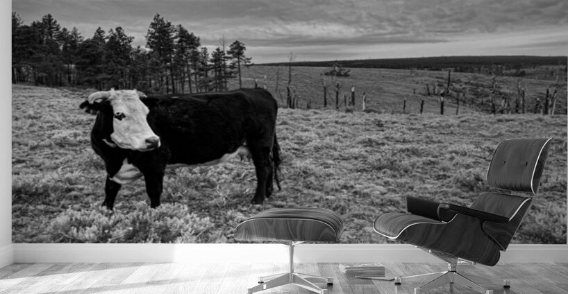 Outstanding in her field Wall Murals