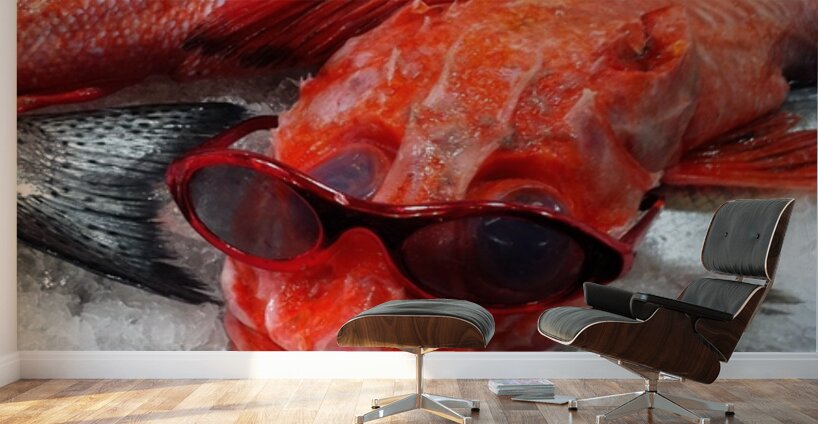 Something Fishy Wall Murals