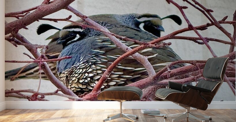 Winter Quail Wall Murals