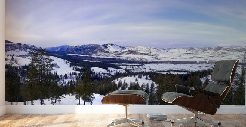 Winter in Washington Wall Murals