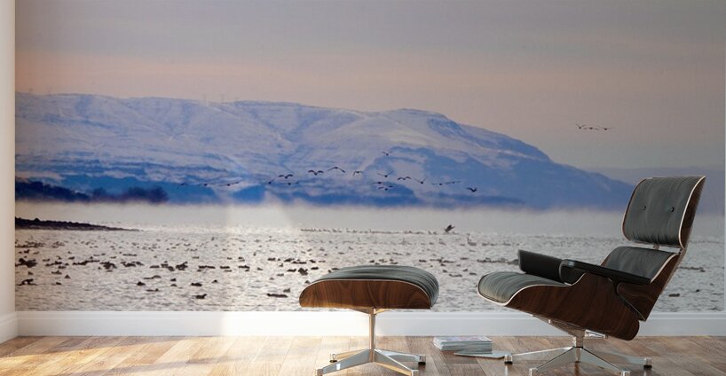 Beauty in the bitter cold - Columbia River 2 Wall Murals