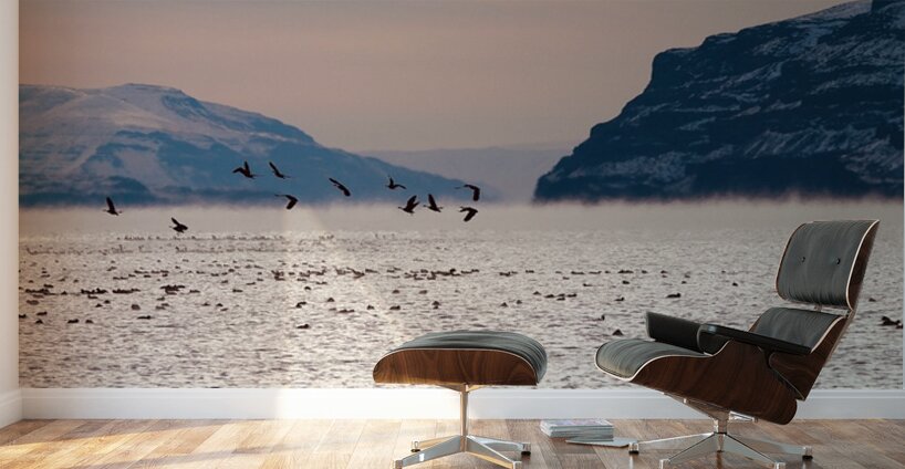 Beauty in the bitter cold - Columbia River 1 Wall Murals