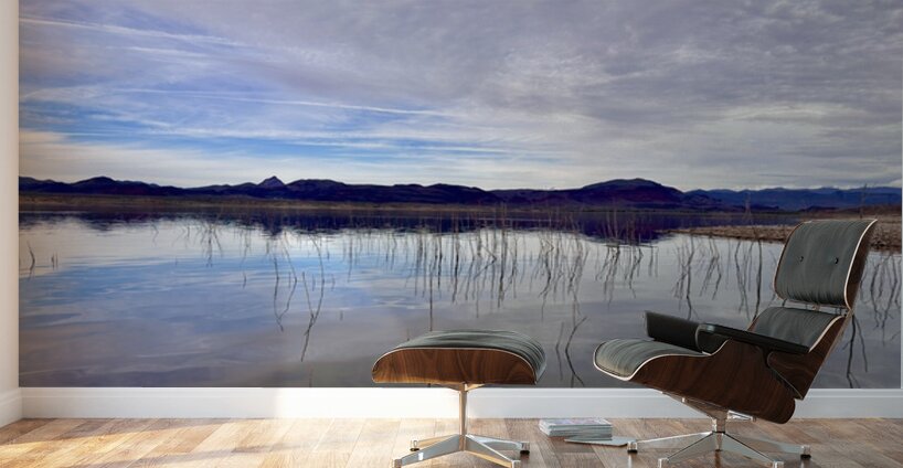 Alamo Lake Arizona -2 Wall Murals