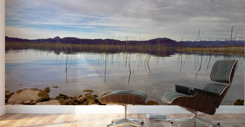 Alamo Lake Arizona -1 Wall Murals