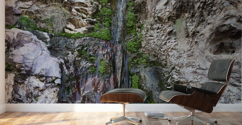 Tres Amigos waterfall in the Tres Alamos wilderness  Wall Murals