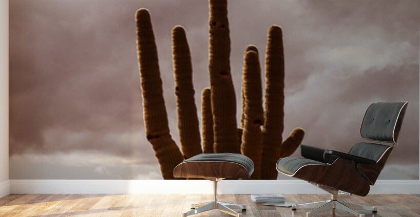 Sunlit Saguaro Wall Murals