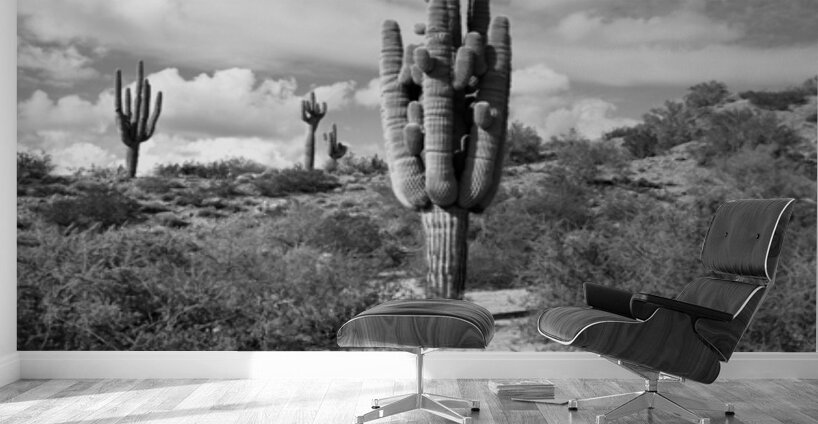 Fine Art Desert Wall Murals