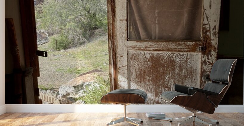 Stepping through time Wall Murals