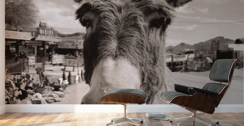 Oatman Donkey - Sepia tone Wall Murals