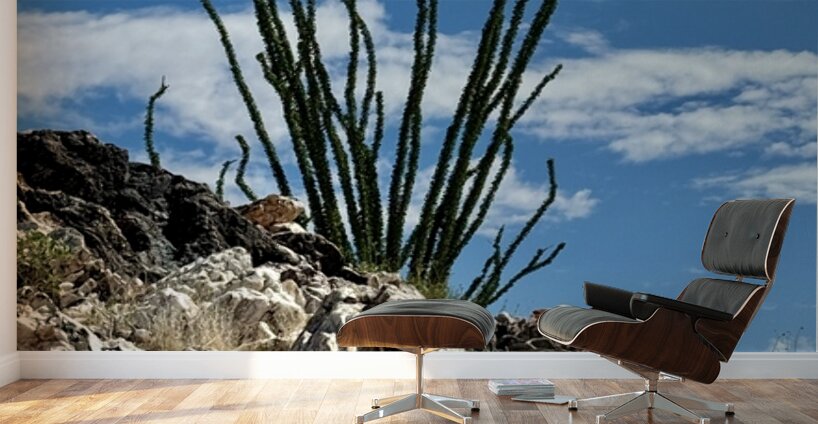 Quartz & Ocotillo    Wall Murals