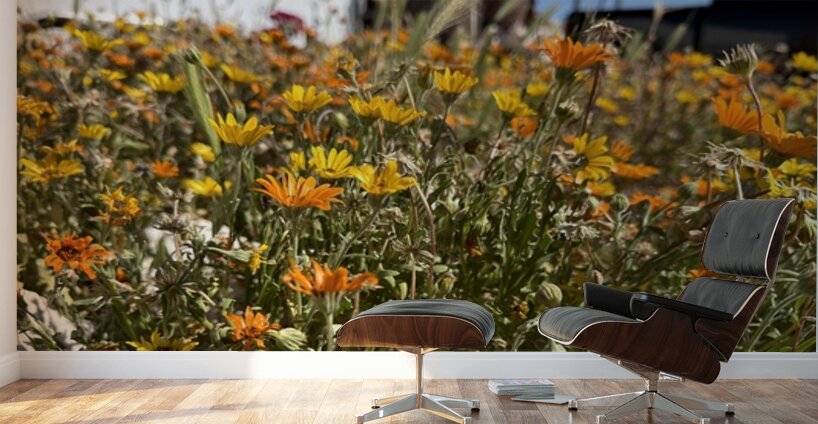 Happy little wildflowers Wall Murals