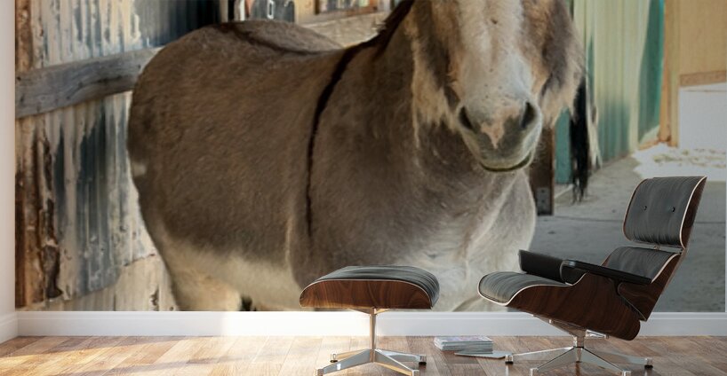 Oliver with “winter chops” Wall Murals