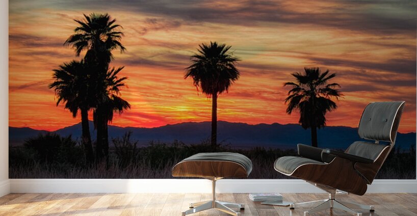 5 Mile Landing - Topock Marsh Wall Murals