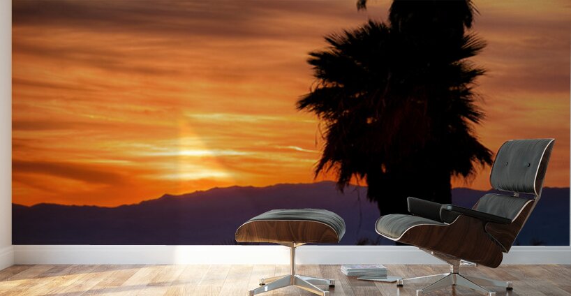 Topock Marsh Sunset Wall Murals