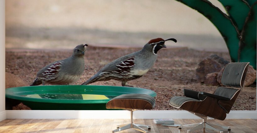 Ye Old Watering Hole Wall Murals