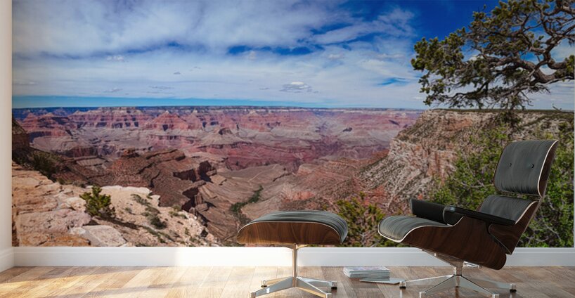 Grand Canyon from Grand Canyon Village Wall Murals