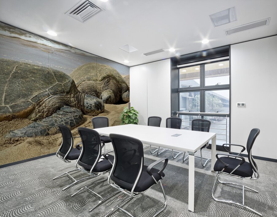 Turtle Couple Wall Printing