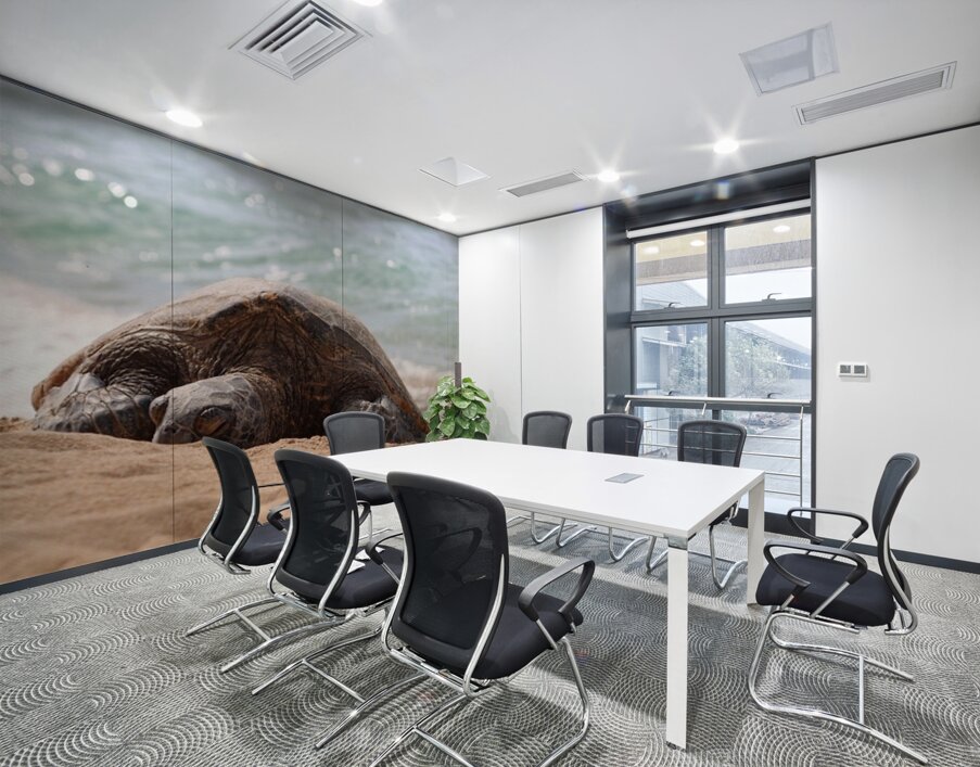 Maui Sea Turtle 2 Wall Printing