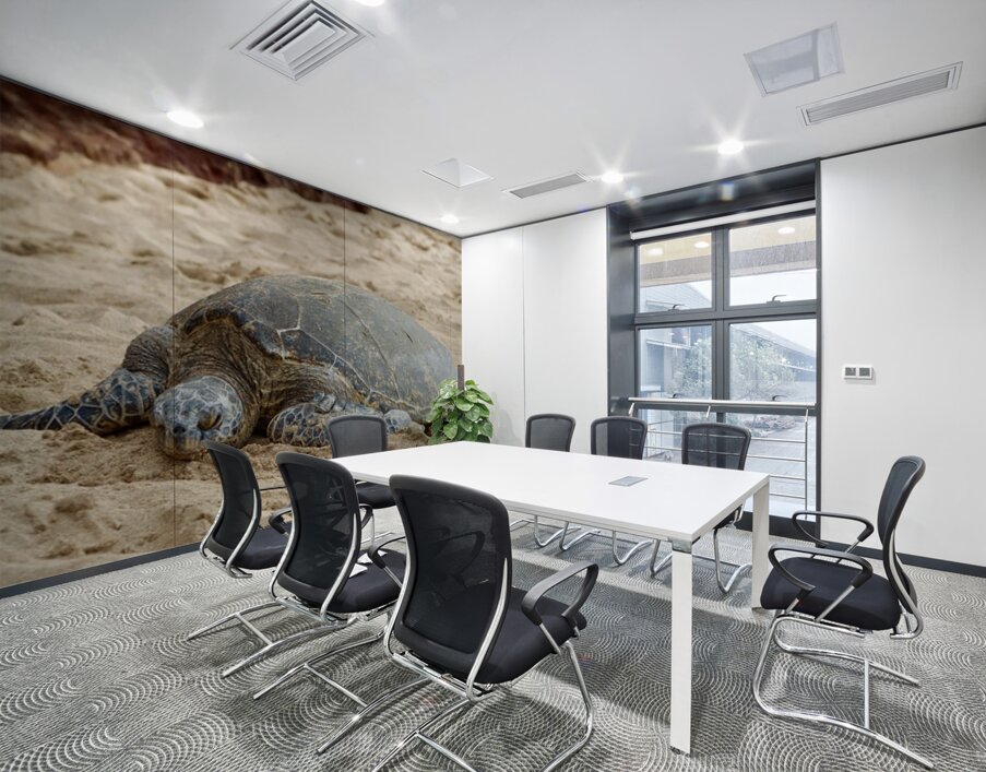 Maui Sea Turtle 3 Wall Printing