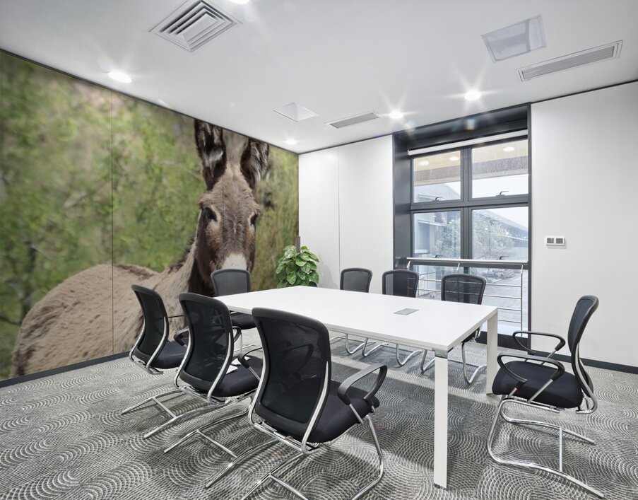 Wild donkey Parker Dam Arizona Wall Printing