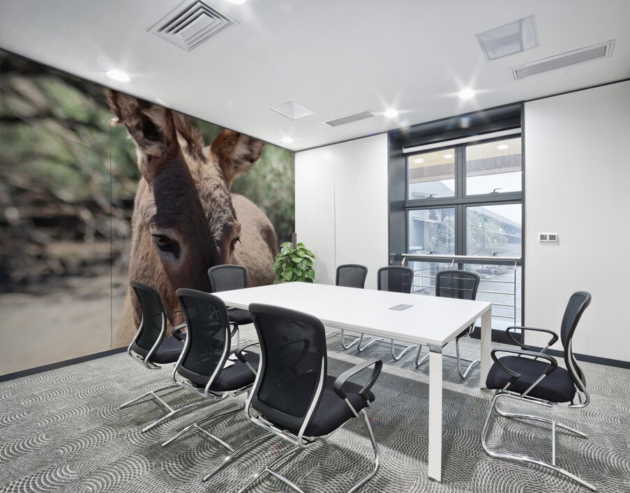 Split ear donkey Wall Printing