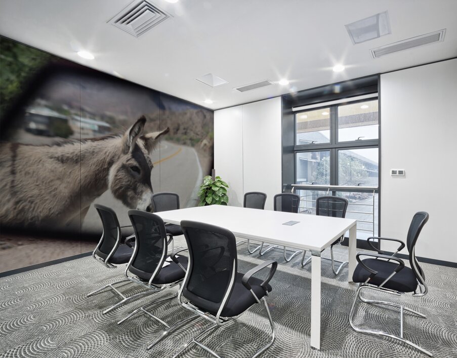 Donkeys in your mirror are closer than they appear Wall Printing