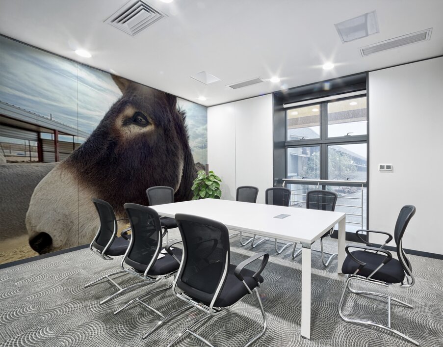 Ragnar Wall Printing