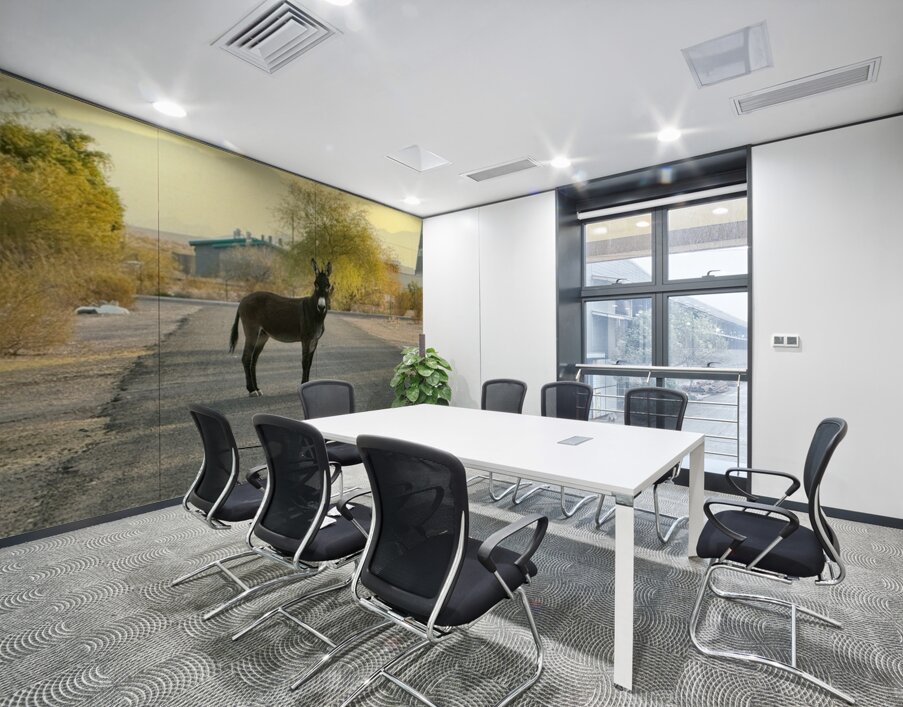 Donkey on my street Wall Printing