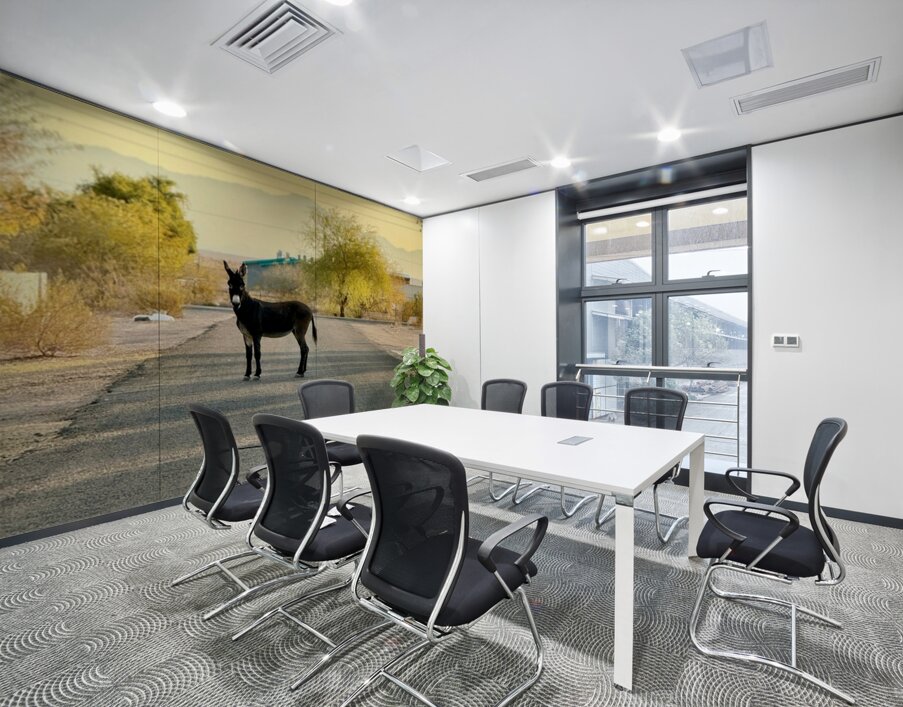 Topock Donkey Wall Printing