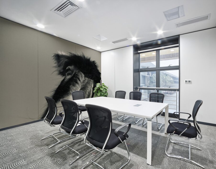 A burro named Stormy Wall Printing