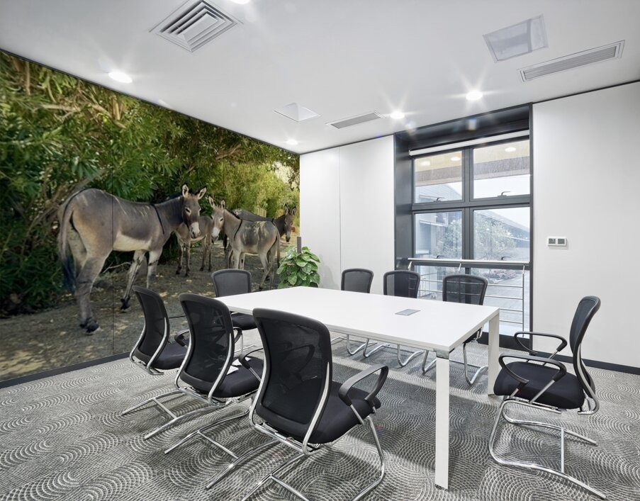 Lake Mohave Donkeys Wall Printing