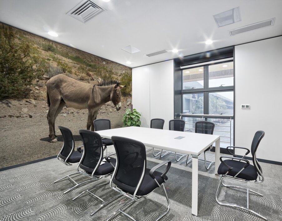 Heading to Oatman Wall Printing