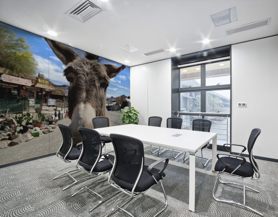 Oatman Donkey Wall Printing