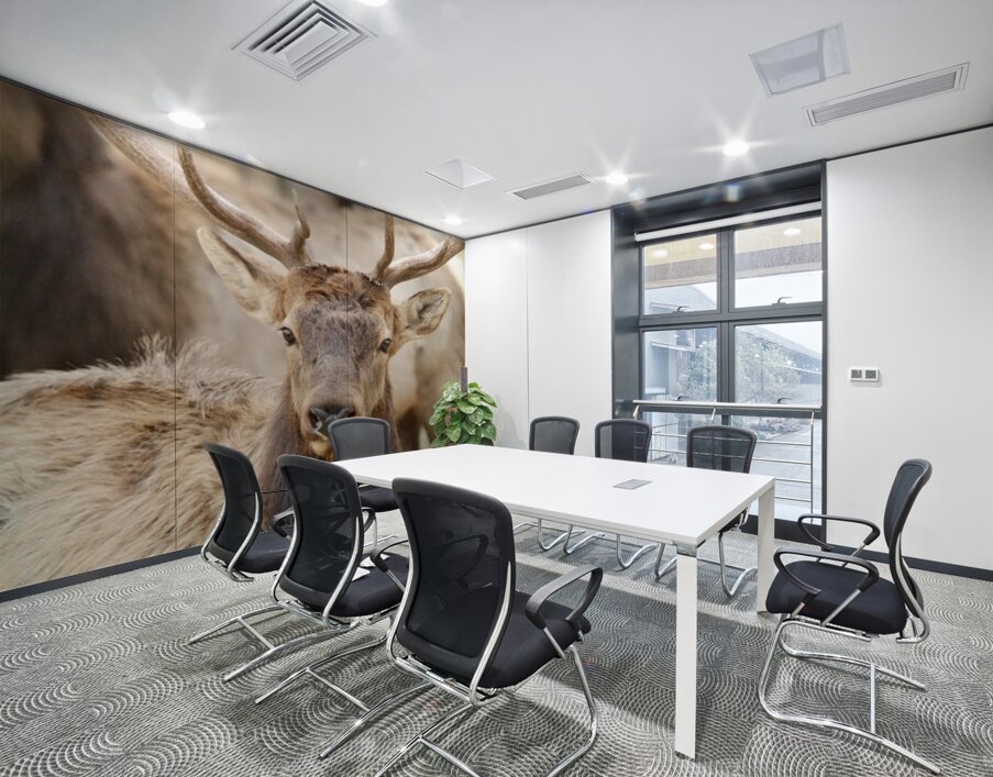 4A215C09 7526 4716 BD66 3AC285F47268 1 105 c Wall Printing