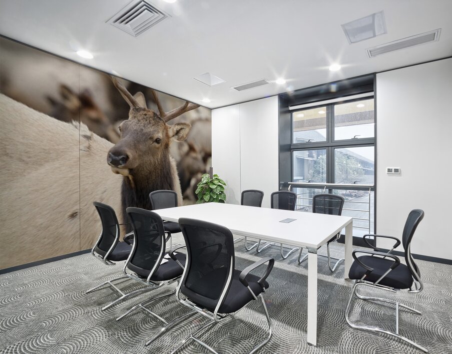 F3A5ABA5 DED2 4A0F 9CA3 F81AD213DC14 1 105 c Wall Printing