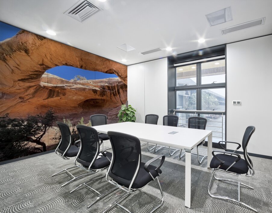 Gemini Twins Wall Printing