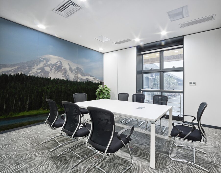 Mt Rainier - horizontal Wall Printing