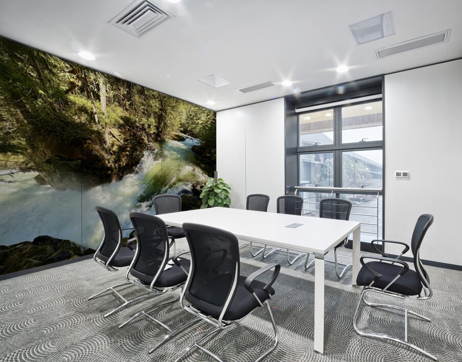 IMG 2459 Wall Printing