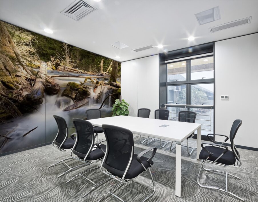 IMG 2445 Wall Printing