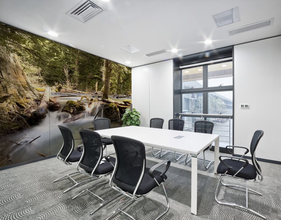 IMG 2442 Wall Printing