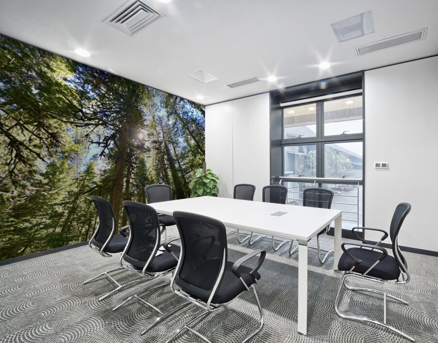 Tall Tall Trees Wall Printing