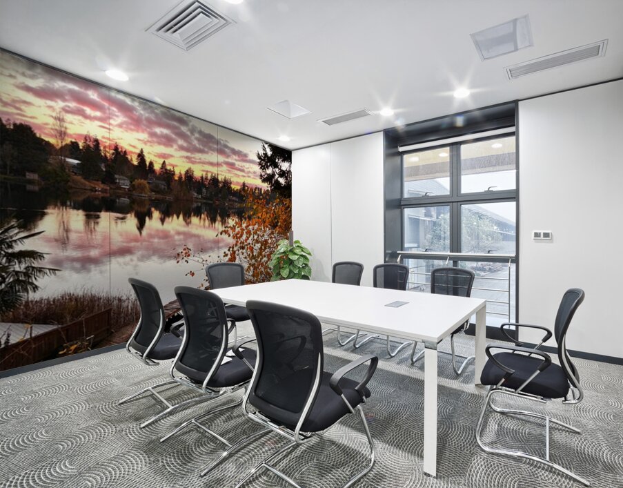 Star Lake Washington - 1 Wall Printing