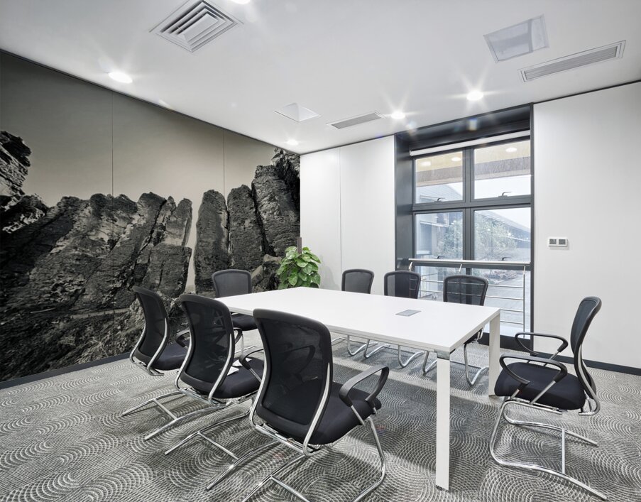 The Feathers Wall Printing