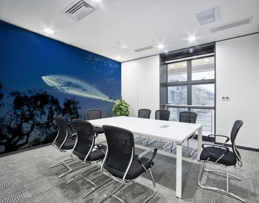 Space X Launch -1 Wall Printing