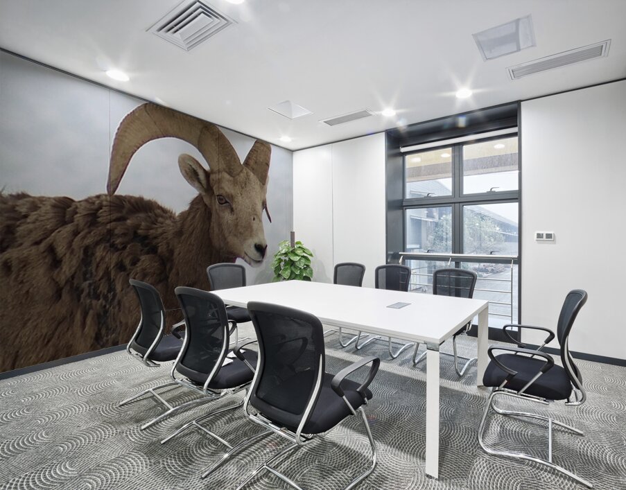 Big Horn Sheep Wall Printing